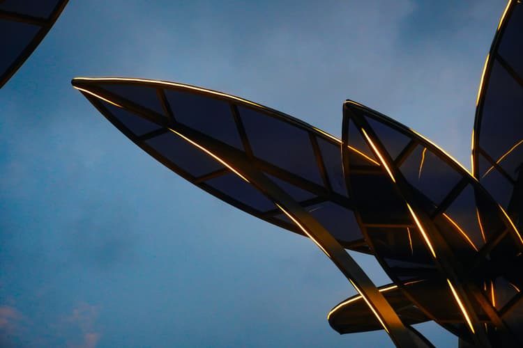 Dynamic Art for Citizens